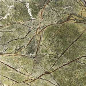Rain Forest Green Marble Slab,India Green Marble