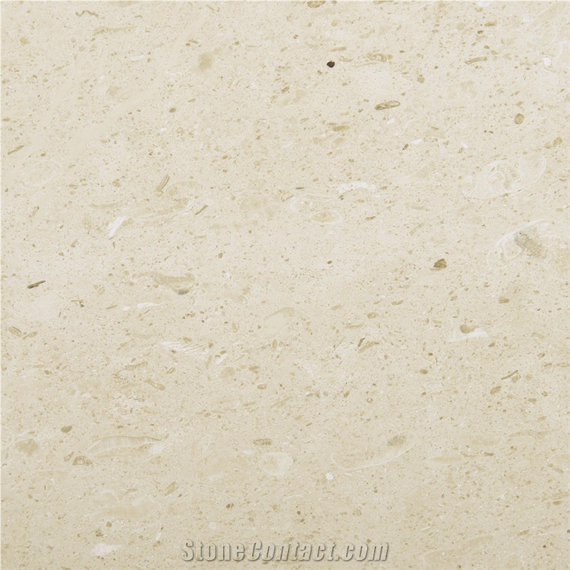 Seashell Beige Limestone Slabs & Tiles