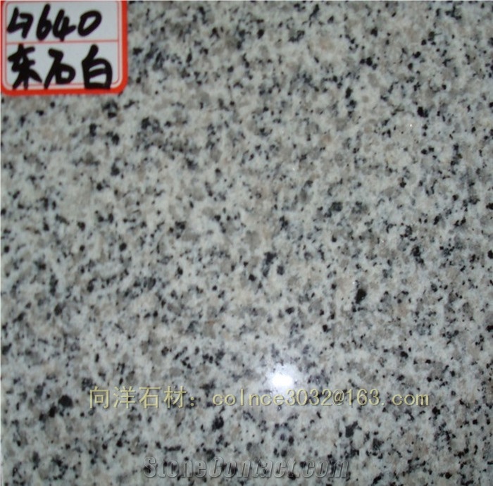 G640 Granite Polished Slab & Tile, China White Granite