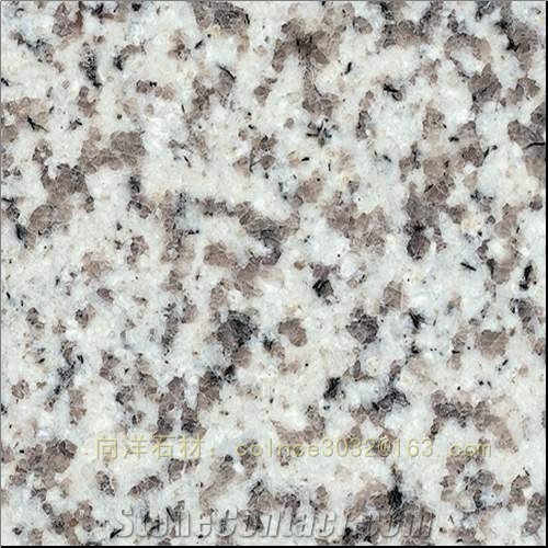 G655 Granite Slab & Tile, China White Granite