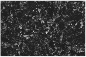 Levadia Black Marble Tiles, Slabs