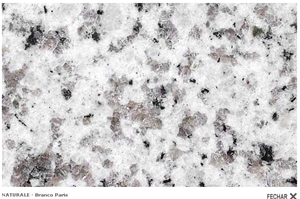 Branco Paris Granite Slabs, Brazil White Granite
