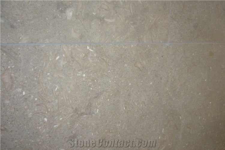 Fresco Limestone Tiles, Seagrass Limestone