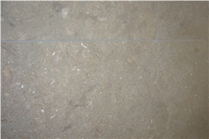 Fresco Limestone Tiles, Seagrass Limestone