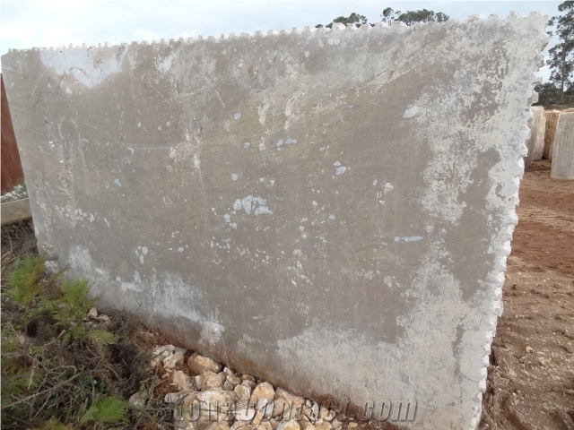 Brecha Maritima Limestone Slab, Portugal Grey Limestone