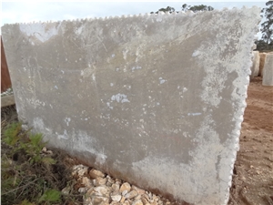 Brecha Maritima Limestone Slab, Portugal Grey Limestone