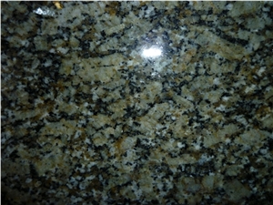 Moss Green Granite