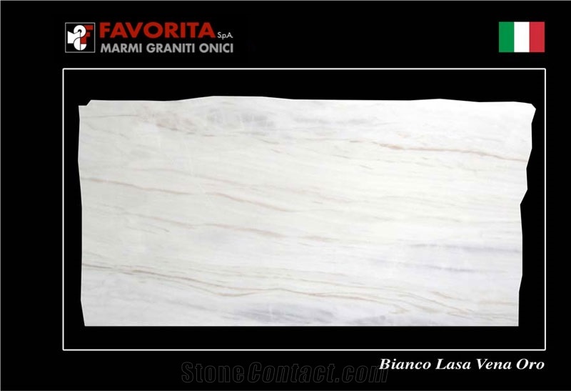 Bianco Lasa Vena Oro Marble Slabs, Italy White Marble