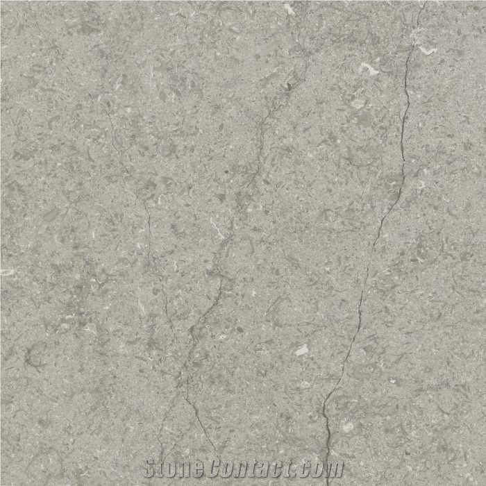 Transylvania Silver Limestone Floor Tiles, Romania Grey Limestone