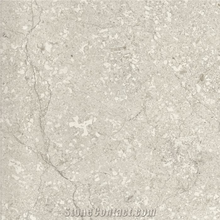 Transylvania V Gray Light - Grey Limestone Tiles