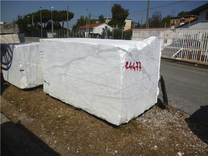 Venato Carrara Marble Blocks, Italy White Marble
