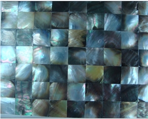 TL-M153 ( 20X20) Seashell Mosaic Tiles