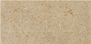 Golden Shellstone Tumbled Tiles, Turkey Beige Limestone