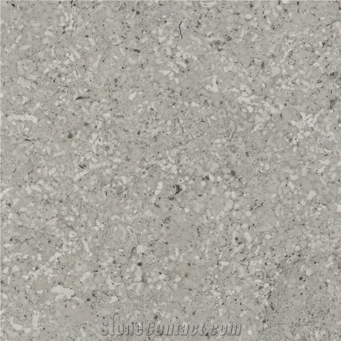 Transylvania Rice Limestone Tiles, Romania Grey Limestone