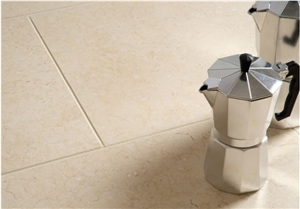 Negev Fossil Limestone Floor Pattern