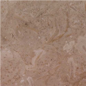 Travera Limestone Tiles, Pakistan Beige Limestone