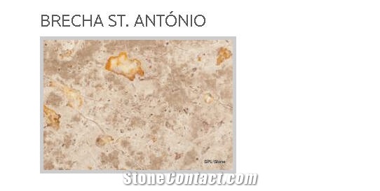 Brecha St Antonio Limestone Tiles
