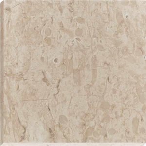 Jurassic Beige Marble Slabs, Tiles