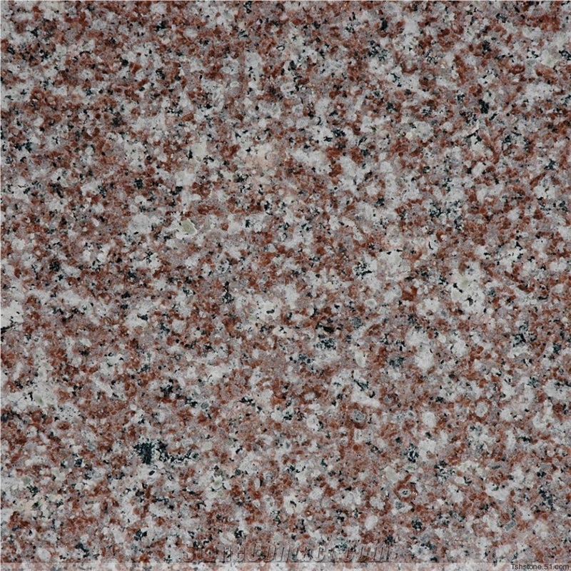 Misty Brown Granite G664 Slabs & Tiles