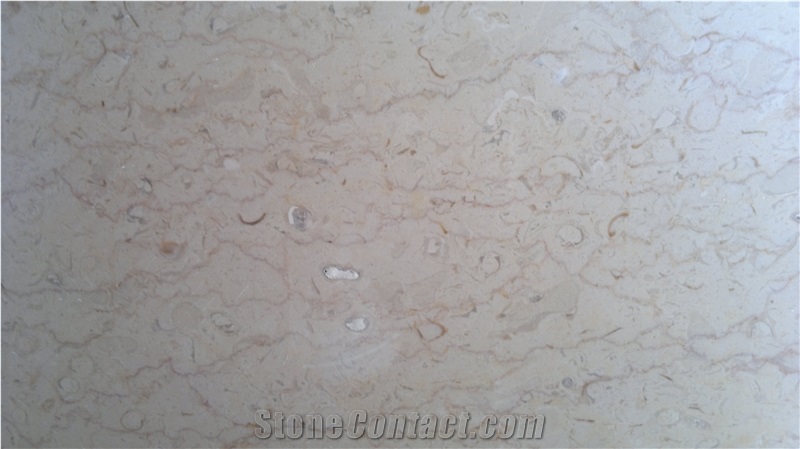 Shell Beige Marble Slabs & Tiles, Polished Marble Floor Covering Tiles, Walling Tiles