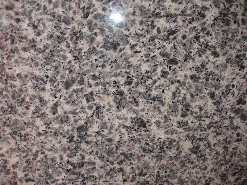 Leopard Skin Granite Slabs, China Leopard Granite Gangsaw Slabs
