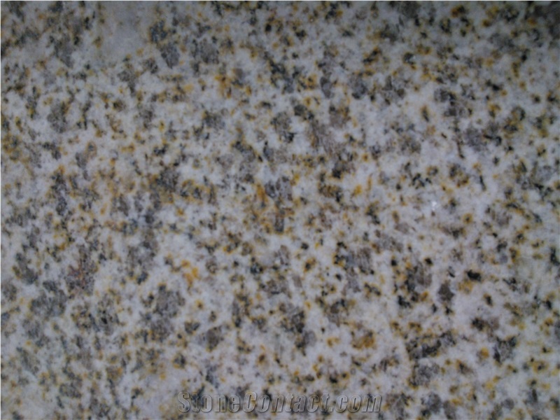 Giallo Gold Granite Slabs & Tiles,Yellow Granite