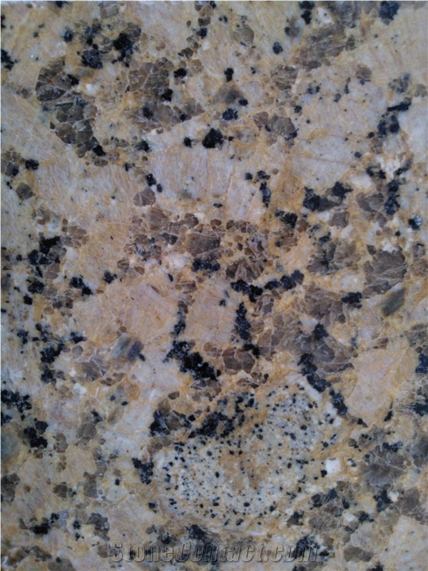 Giallo Veneziano Fiorito Slabs & Tiles, Brazil Yellow Granite