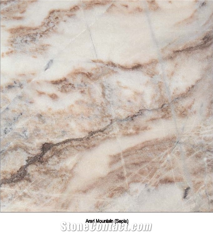 Arari Mountain Sepia Marble Slabs & Tiles