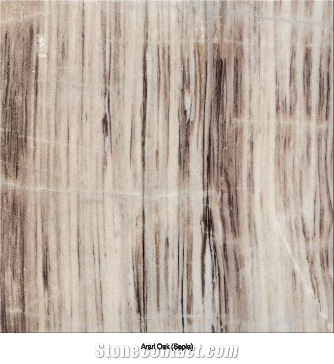 Arari Oak Sepia Marble Slabs & Tiles