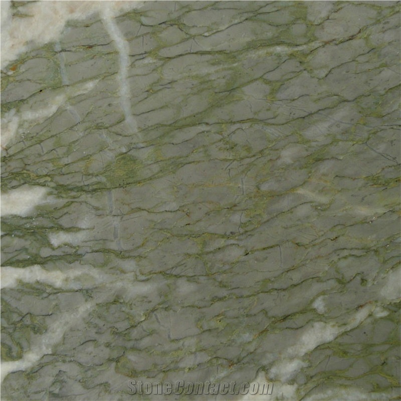 Campan Payolle Vert Marble Slabs, Campan Vert Marble