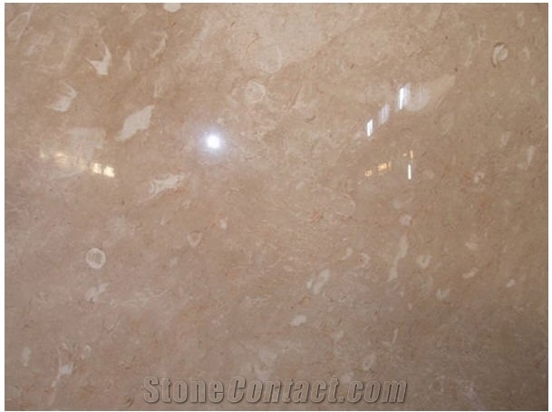 Eyra Fossil Mable Marble Block, Turkey Beige Marble