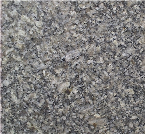 Granite Slabs Tansky Gg10, Ukraine Grey Granite