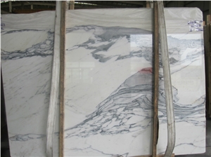 Super High Quality Of Arabescato Slab Marble