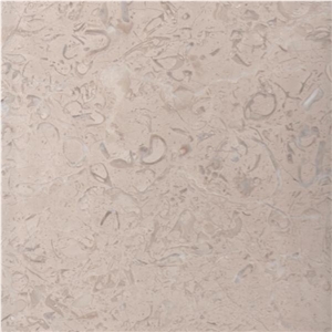 Limpet Beige Marble Tiles & Slabs