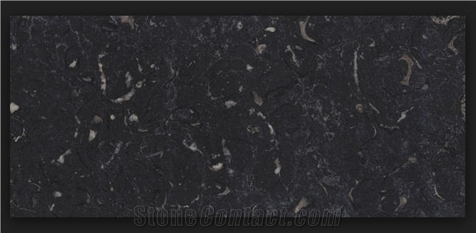 Marmol Negro Caracol, Negro Caracol Marble Tiles