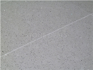 Grey Quartz Stone - Polished Floor Tiles