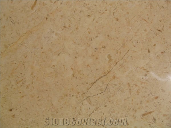 Jerusalem Bone Limestone Slabs & Tiles, Israel Beige Limestone