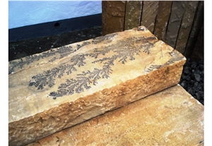 Fossil Sandstone Pool Deck Coping