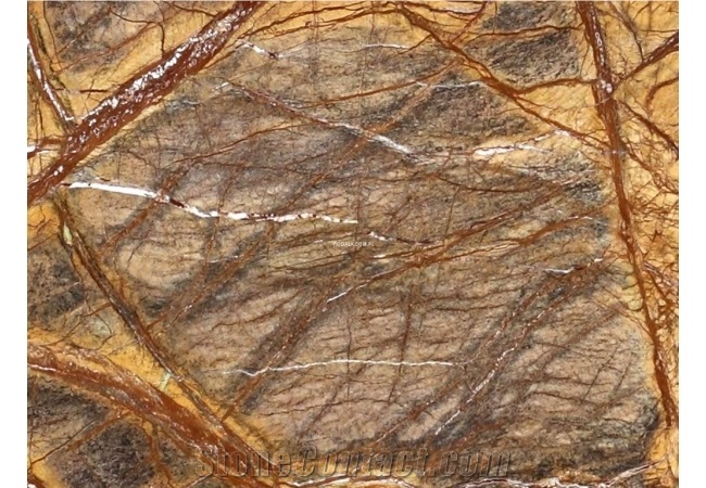 Rain Forest Brown Marble Tiles, India Brown Marble