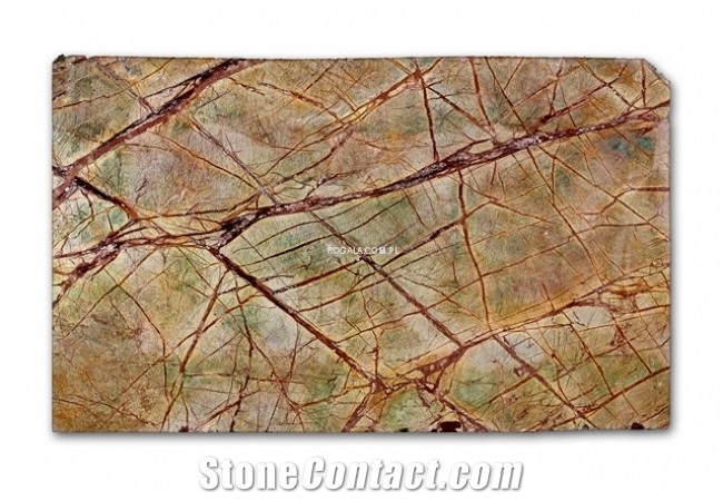 Rain Forest Green Marble Tiles, India Green Marble