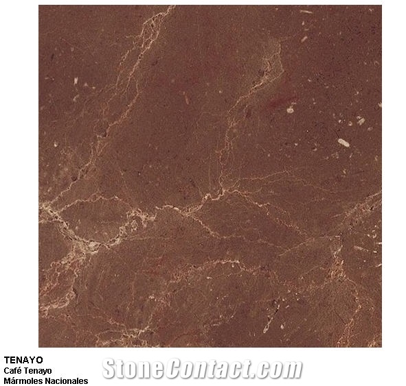 Cafe Tenayo Marble Tiles, Mexico Brown Marble