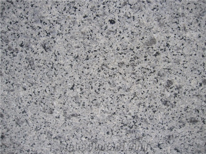 Dolphine Granite Tiles & Slabs, Grey Granite Iran Tiles & Slabs