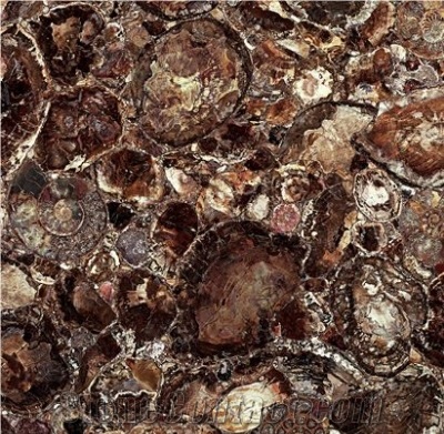 Semi Precious Stone - Brown Petrified Wood