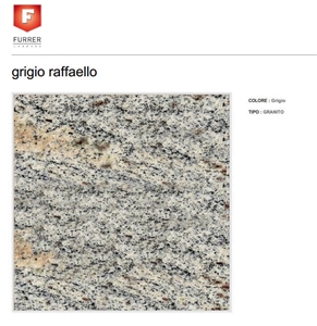 Grigio Raffaello Granite Slabs, Italy Grey Granite