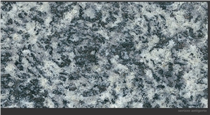 Serizzo Antigorio Granite Slabs, Italy Grey Granite