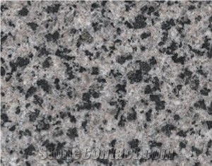 G658 Taiwan Grey Granite