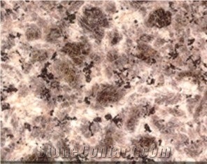 Leopard Skin Granite G-403, G403 Granite Tiles
