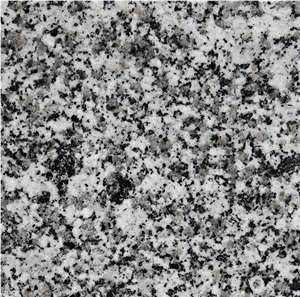 Blanco Perla Granite Slabs, Spain Grey Granite