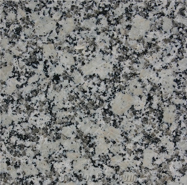 Grissal Granite Slabs, Spain Grey Granite
