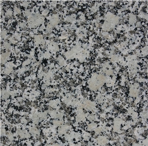 Grissal Granite Slabs, Spain Grey Granite
